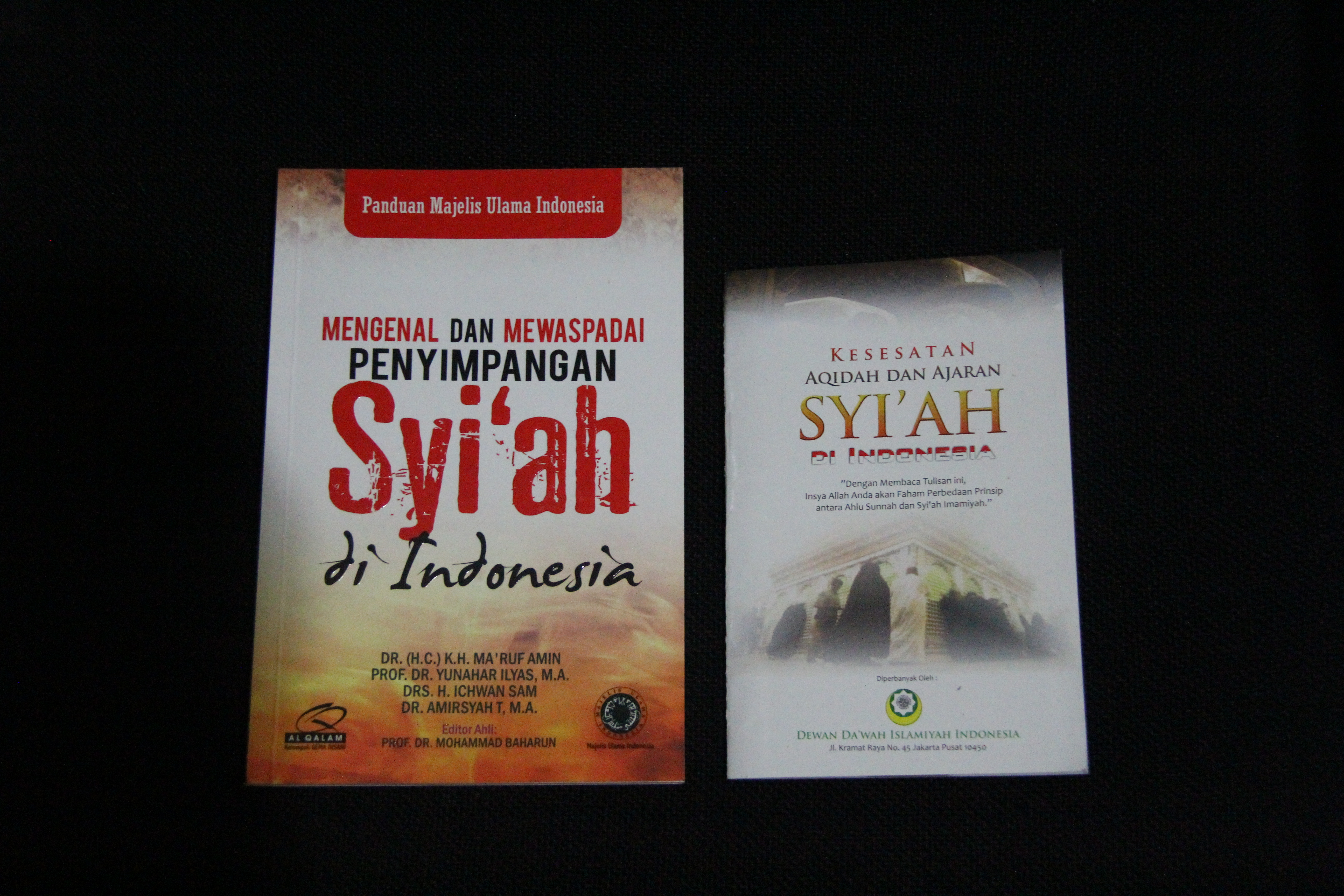 Buku MUI dan DDII Picu Konflik dan Pembodohan