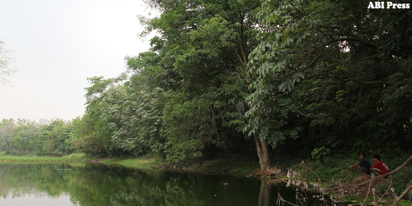 Danau Universitas Indonesia