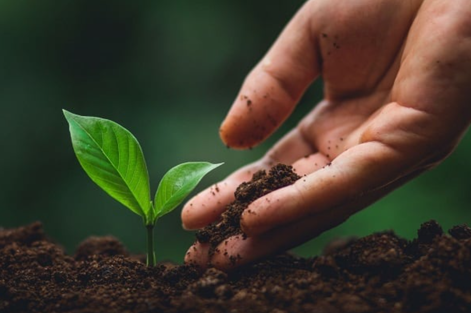 Janganlah Beramal Tanpa Ilmu