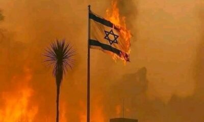 Api yang Membakar Sejarah: Kebakaran Hutan di Wilayah Pendudukan