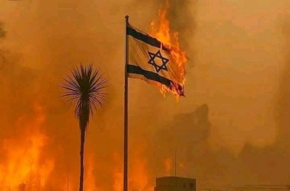 Api yang Membakar Sejarah: Kebakaran Hutan di Wilayah Pendudukan