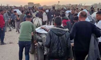 Israel Gunakan Geng Bersenjata Lokal untuk Serang Warga Sipil Gaza