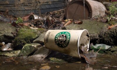 Starbucks, Kopi Mahal Rasa Kolonialisme