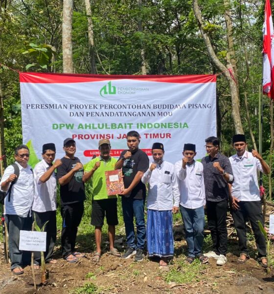 Proyek Pisang ABI Jatim: Menanam Harapan, Memanen Kemandirian