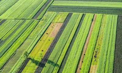 Teknologi Nuklir Iran Perkuat Ketahanan Pangan dan Ekonomi Pedesaan