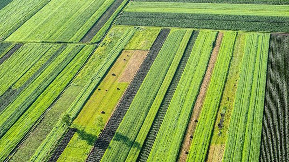 Teknologi Nuklir Iran Perkuat Ketahanan Pangan dan Ekonomi Pedesaan