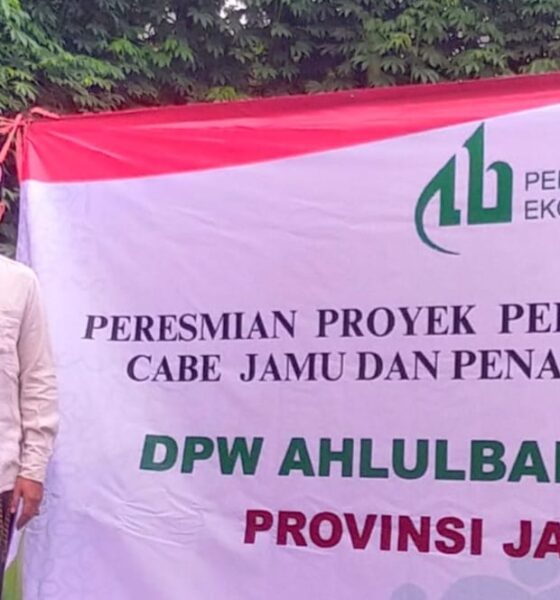 DPW ABI Jawa Timur Luncurkan Proyek Percontohan Budidaya Cabai Jamu di Jember