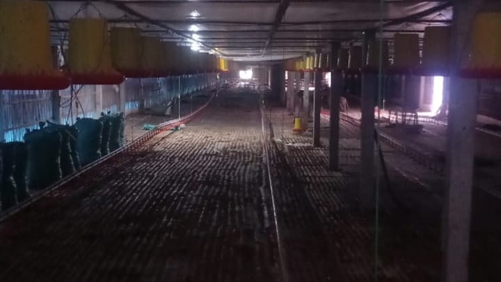 Dari Laut ke Lantai Kandang: Kisah Transformasi Mantan Pelaut Menjadi Pelopor Peternakan Modern di Kediri