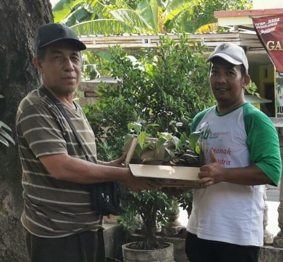 Produk Unggulan ABI Probolinggo: Bibit Cabai Jamu Kian Diminati Masyarakat