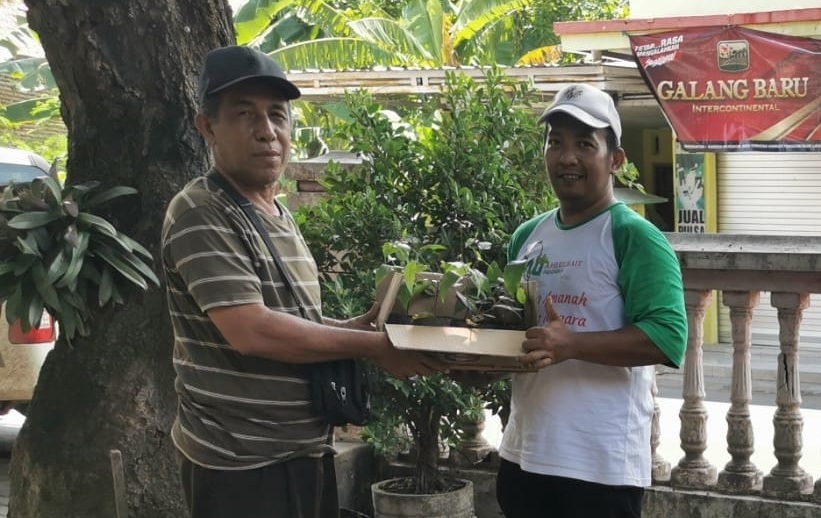 Produk Unggulan ABI Probolinggo: Bibit Cabai Jamu Kian Diminati Masyarakat