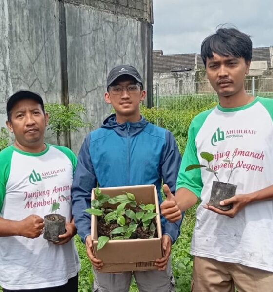Permintaan Meningkat, ABI Probolinggo Ekspansi Pengiriman Bibit Cabai Jamu ke Malang