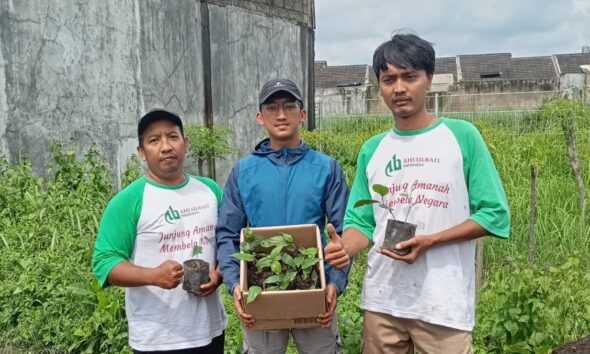 Permintaan Meningkat, ABI Probolinggo Ekspansi Pengiriman Bibit Cabai Jamu ke Malang