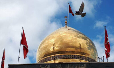 Kesabaran Sayyidah Zainab, Fondasi Tradisi Kesyahidan dan Kebangkitan Publik