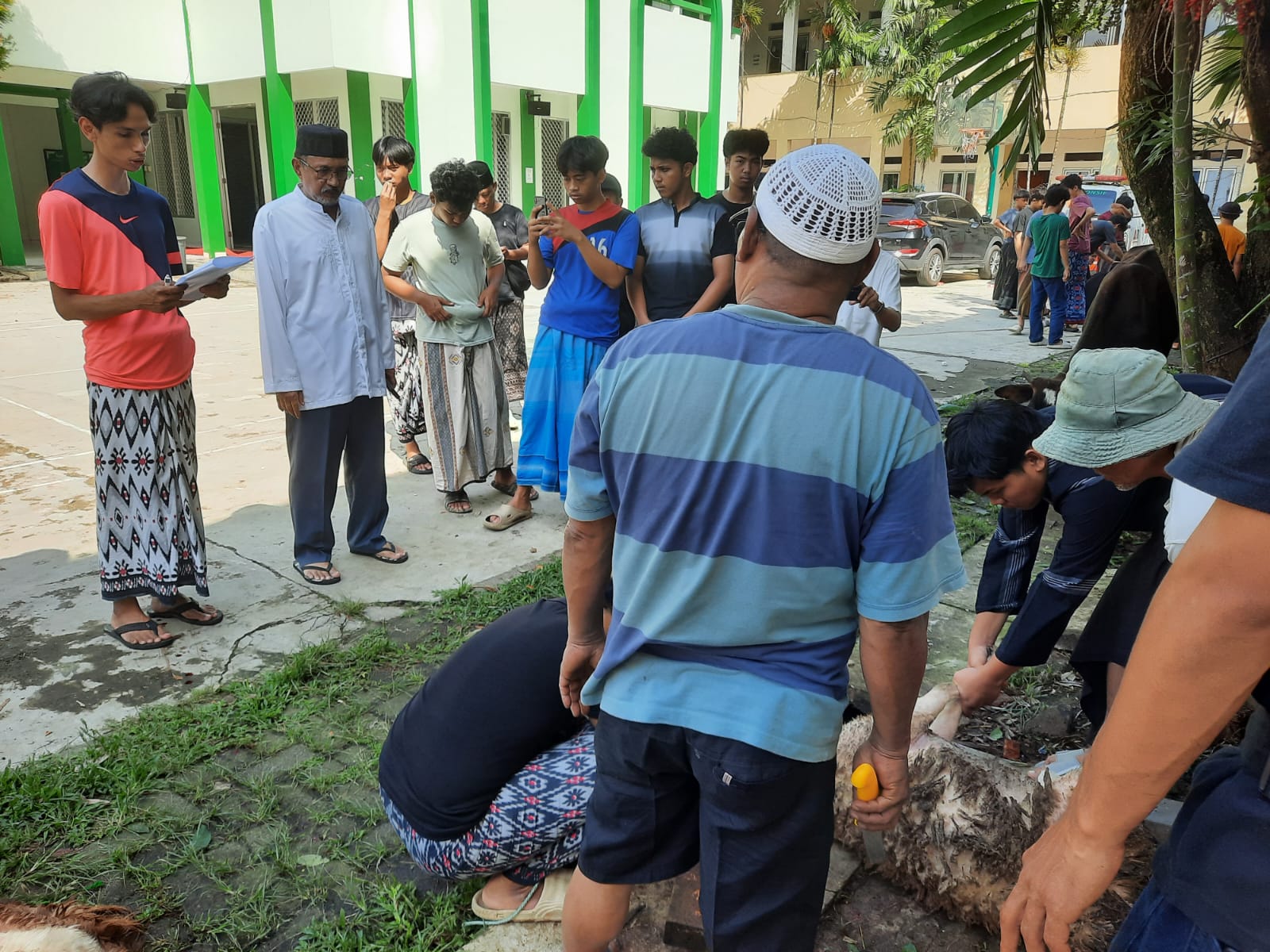 Proses penyembelihan dan pengemasan daging kurban pada perayaan Idul Adha 1447 H di Hauzah Shiddiqah Zahra Condet, Jakarta Timur, Rabu, 27 Mei 2026. (dok ABI)