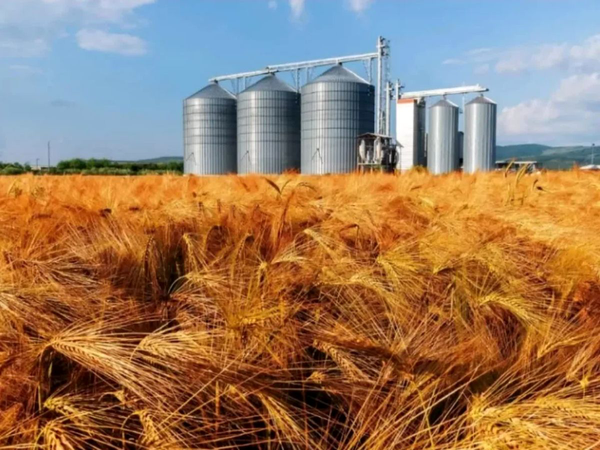 Silo penyimpanan gandum di Khuzestan menjadi sorotan setelah serangan AS menyasar infrastruktur ketahanan pangan Iran. (Foto: Farsnews Agency)