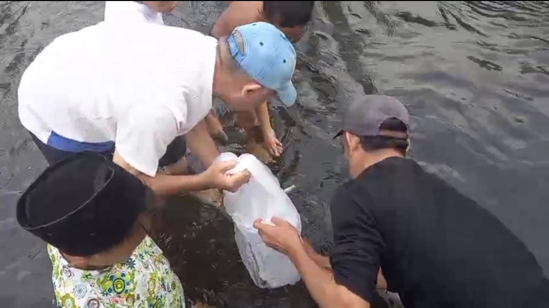 DPD ABI Pemalang bersama warga Desa Walangsanga melakukan aksi lingkungan dengan penebaran benih ikan dan pembersihan sungai.