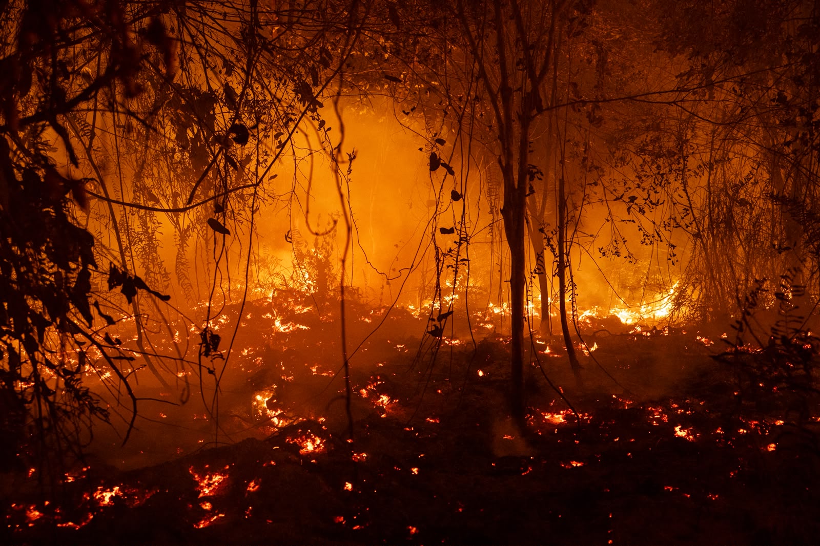 Karhutla Indonesia mencapai 1,92 juta hektare hingga akhir September 2026. Api mengancam permukiman warga di Kalimantan Tengah. (Foto: Ulet Ifansasti]